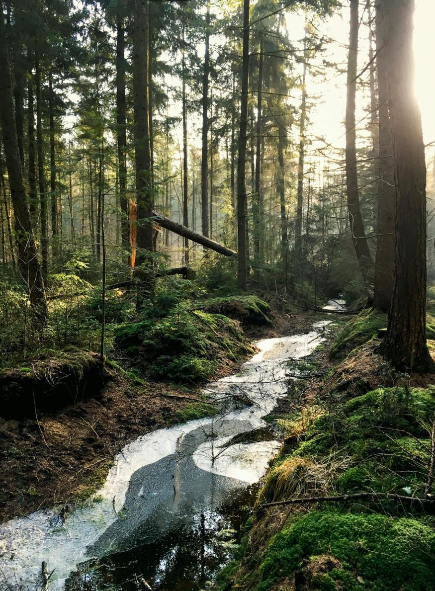 Journal du Luxe Journal du Luxe