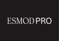 ESMOD PRO